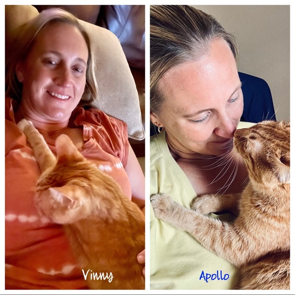 Meet your Posher, Mel - Picture 2 of 2